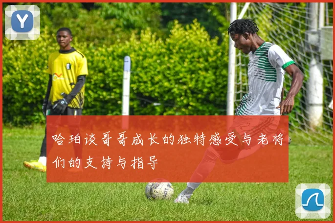 哈珀谈哥哥成长的独特感受与老将们的支持与指导