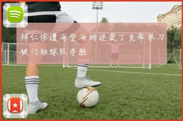 拜仁惨遭海登海姆逆袭丁克希单刀破门助球队夺胜